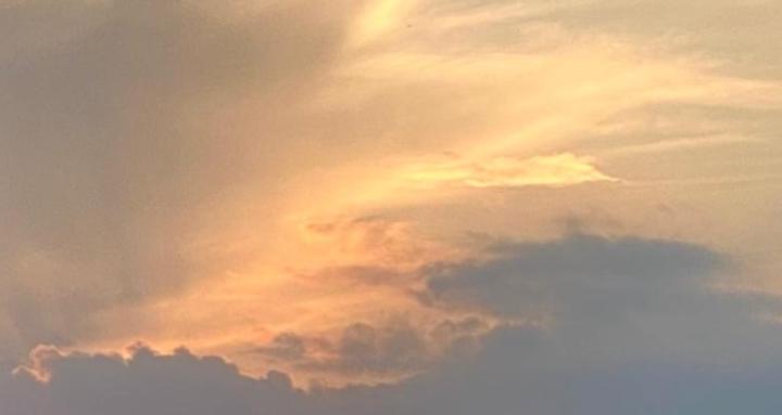 Chronic Warrior Collective