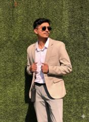 Bibek T