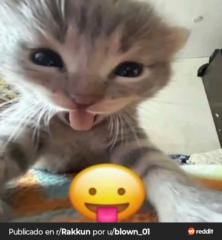 Santiago González Ibarra