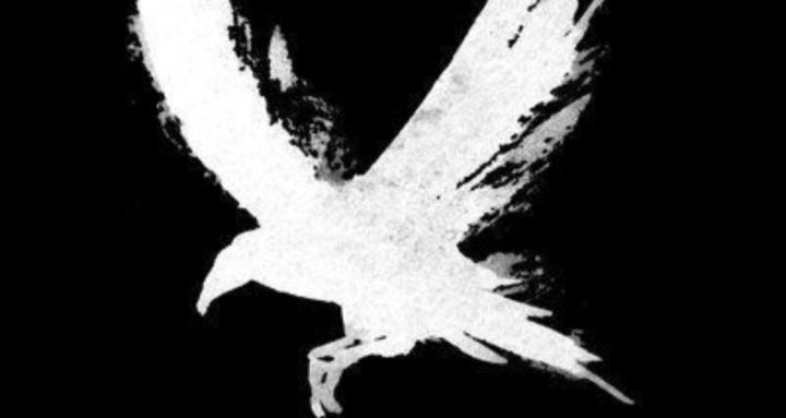 [K]ounting [K]rows 3,2,1