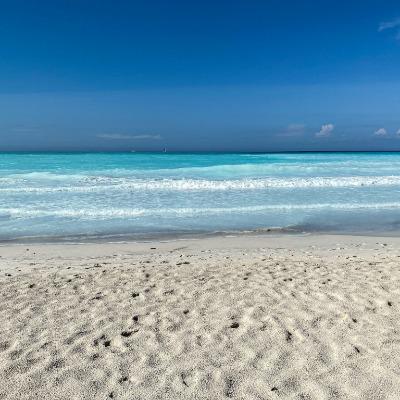 Abdelouahed Masskour