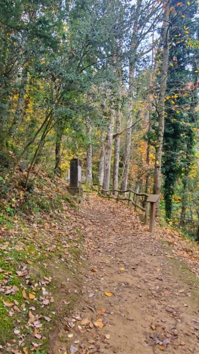 Silvia Canadell Estrada