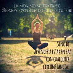 Dioselina Ruiz G