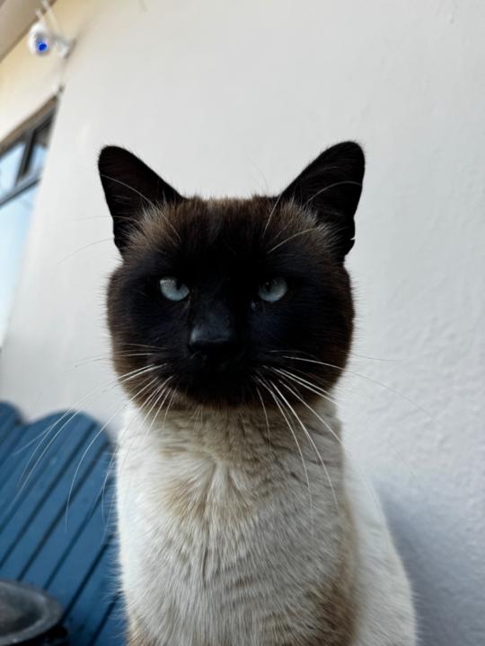 Carlos Calderon Equiz