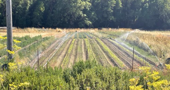 Natural Farming Life