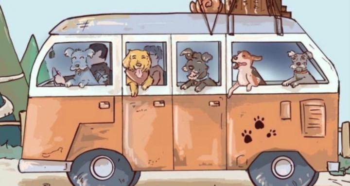 mypawcoins.vip