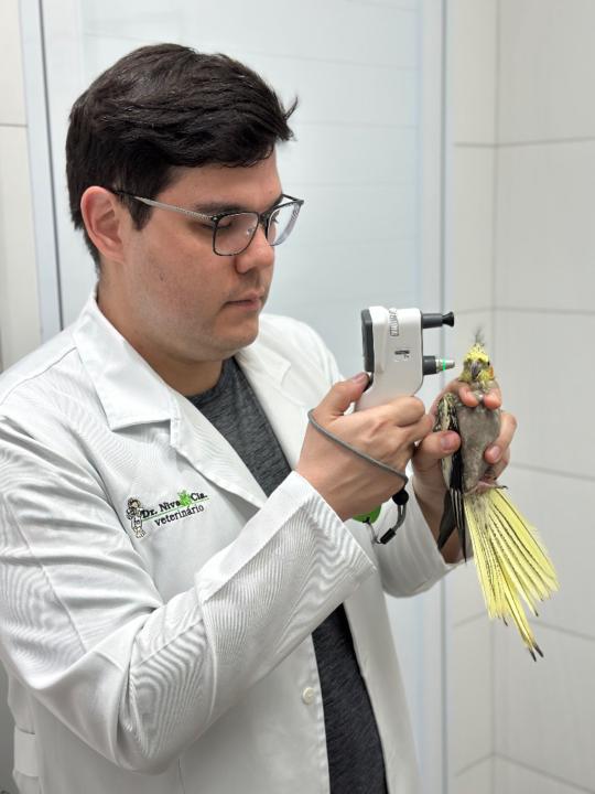 Heitor Fioravanti