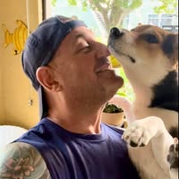 Joe Mauro