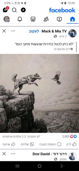 נאור P