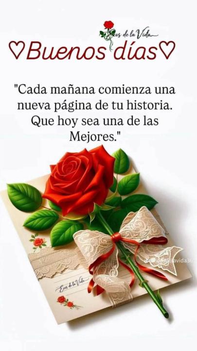 Verónica Romero Judar