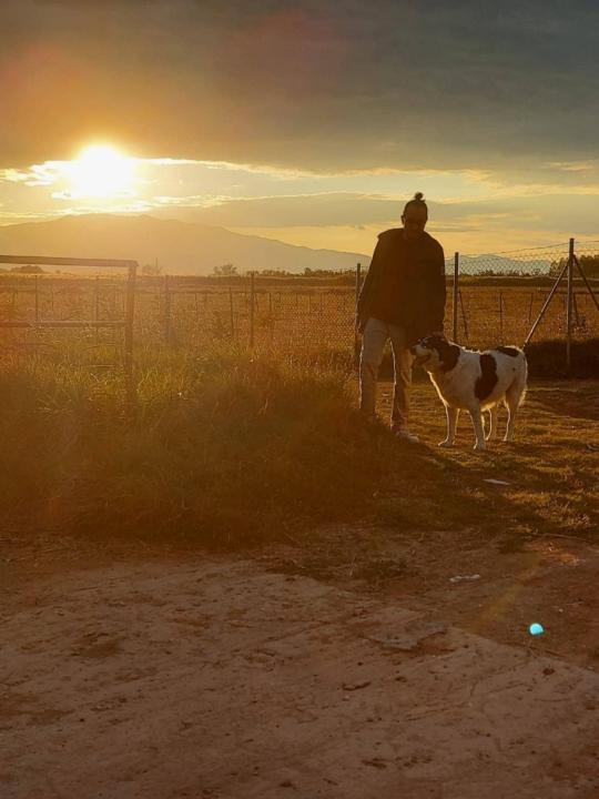 Anastasios Karamanis