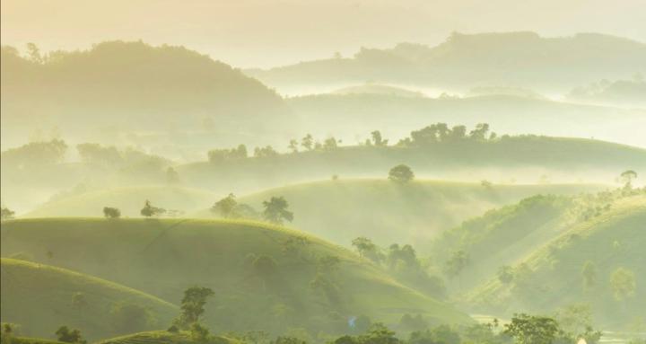 The Embodied Evolution Project