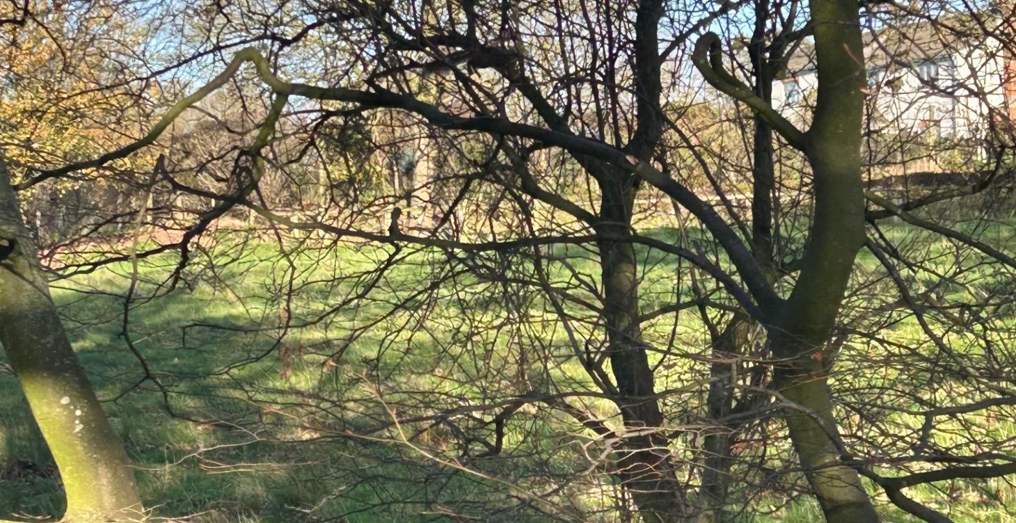 All lessons found here !