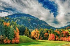 Elif Ok