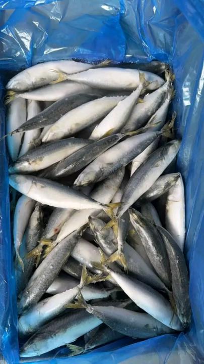 Only The Most Fresh. 