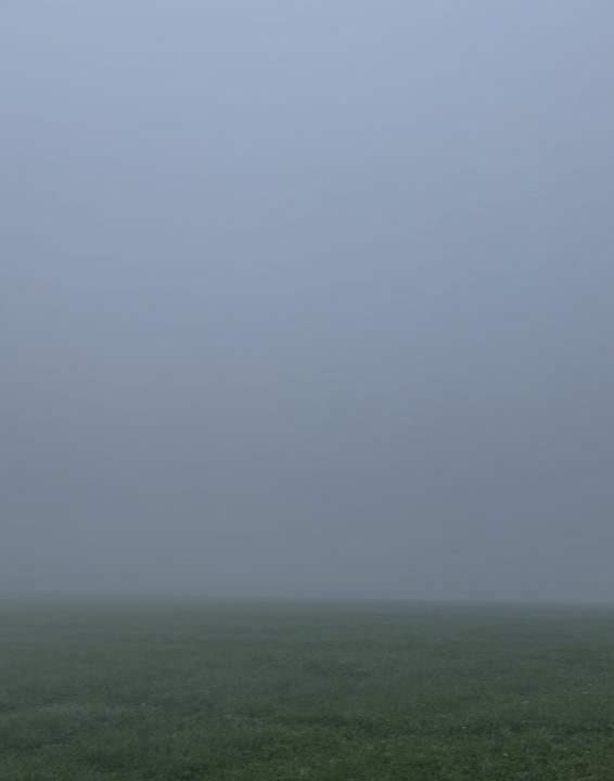 Aline Besson-Wyttenbach