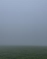 Aline Besson-Wyttenbach