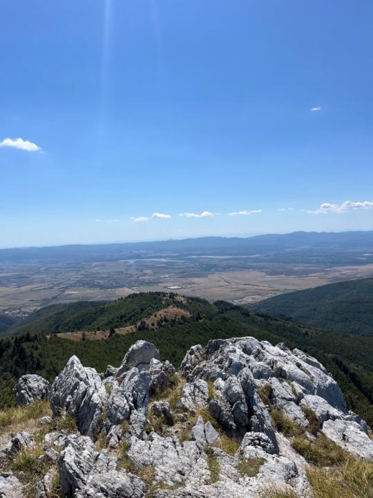 Александър Колев