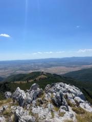 Александър Колев