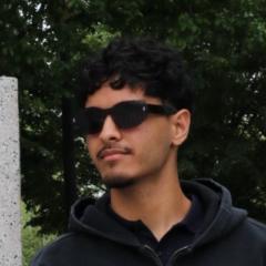 Abid Raufi