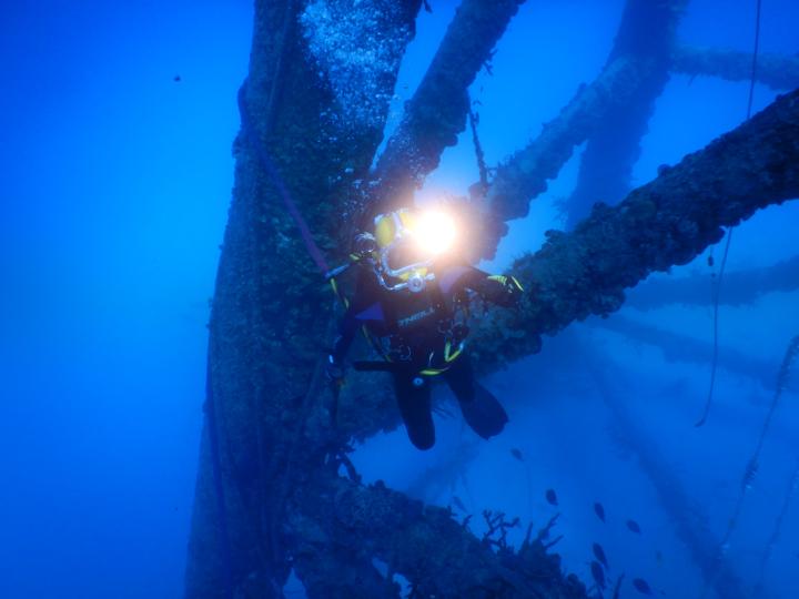 🧰 What’s the wildest / most interesting job you’ve ever worked?