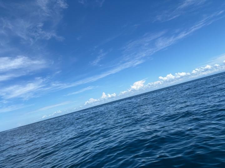 Emmanuel Estrada medrano