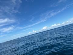 Emmanuel Estrada medrano