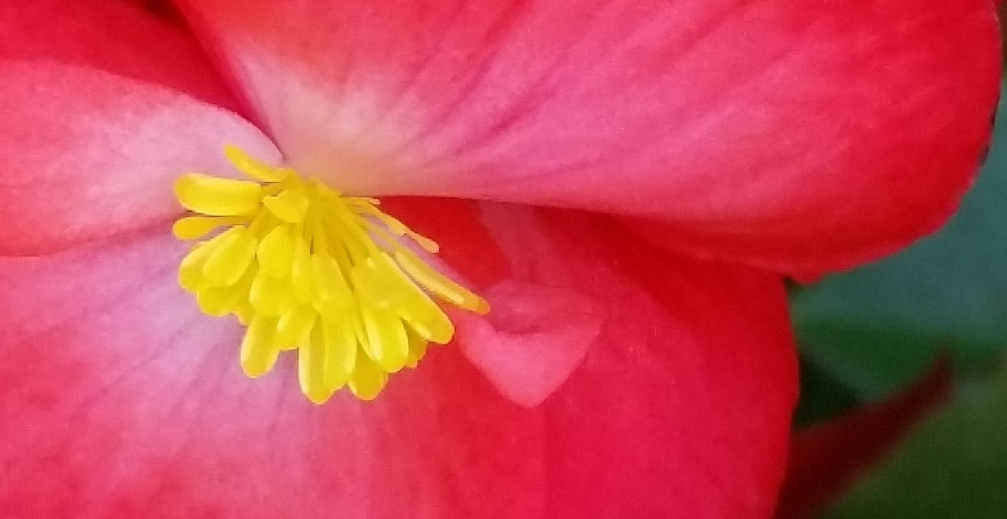 DESIGN YOUR LIFE<>WEEK 5<>PART1<>