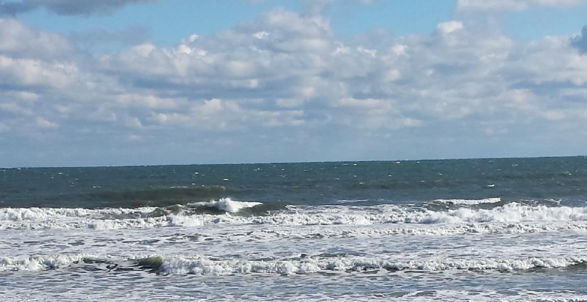 DESIGN YOUR LIFE**week3**part1