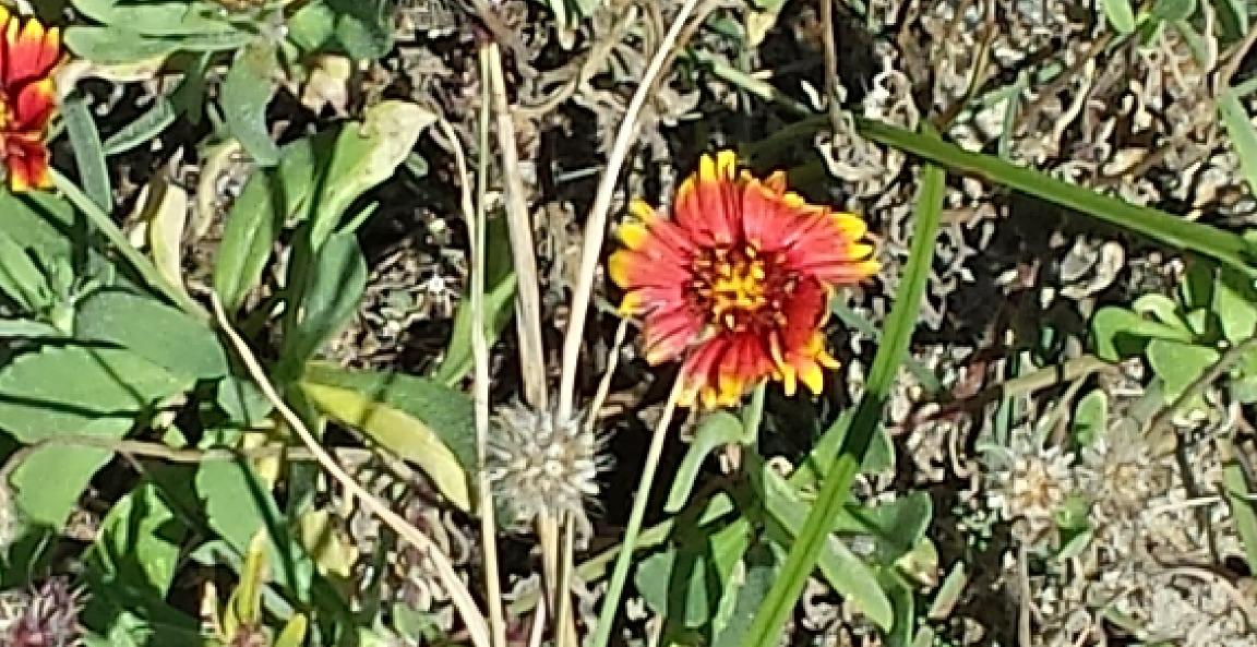 DESIGN YOUR LIFE<>WEEK6<>PART1<>