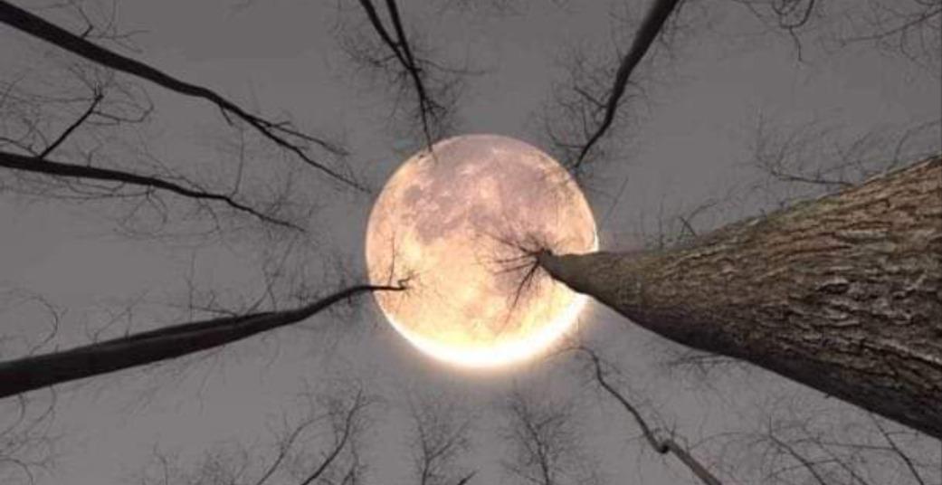 DESIGN YOUR LIFE<>WEEK7<>PART1<>