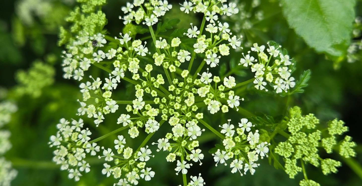 DESIGN YOUR LIFE<>WEEK6<>PART2<>