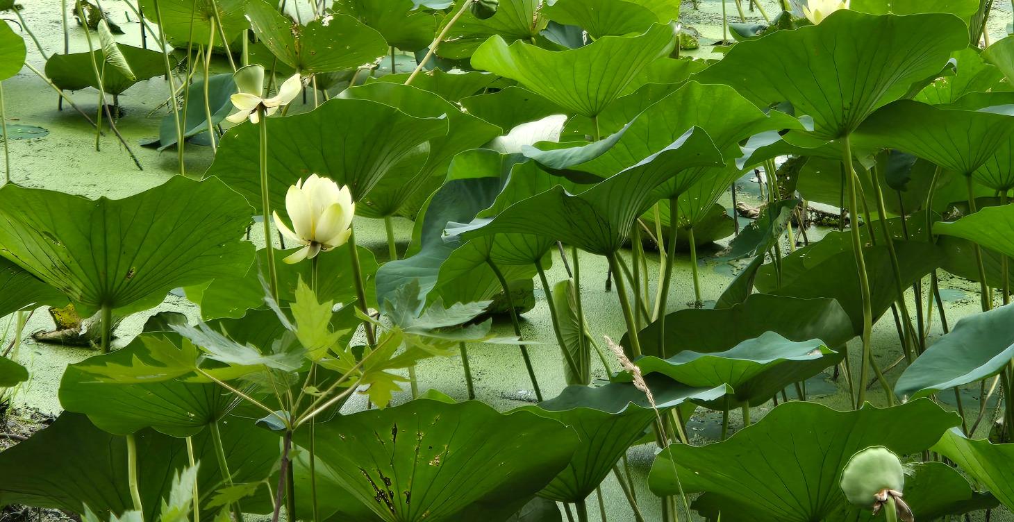 DESIGN YOUR LIFE<>WEEK8<>PART1<> YOU DID IT!!