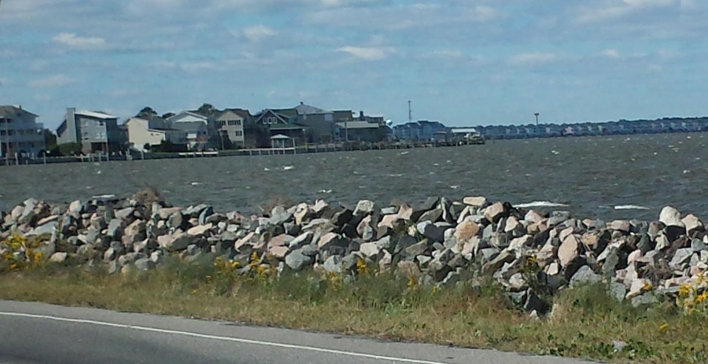 DESIGN YOUR LIFE**WEEK4**PART2**