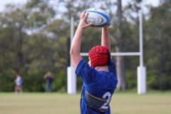 Barton Paterson