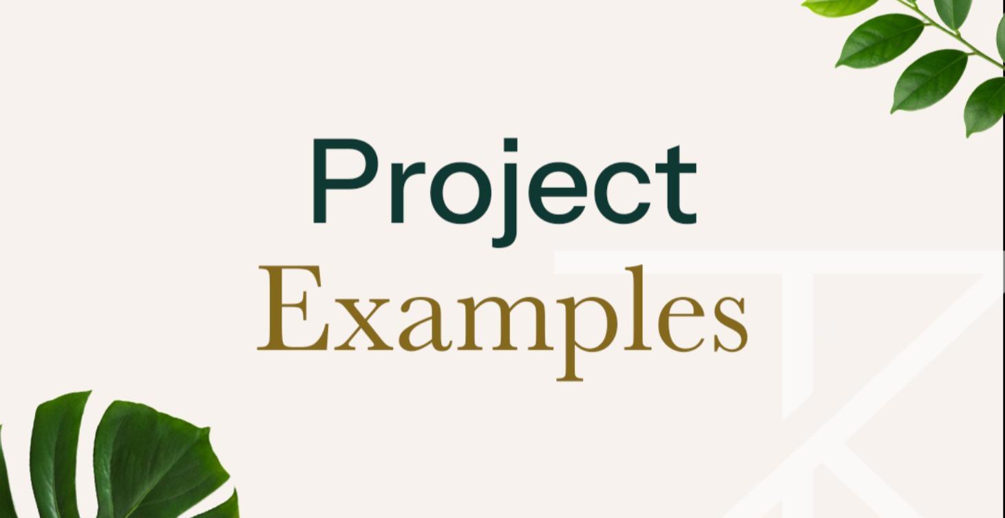 Project Examples