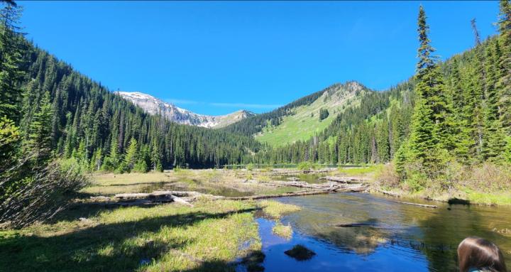 The Reclaim Method Community