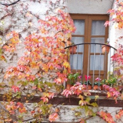 Sofía Belloch Ugarte