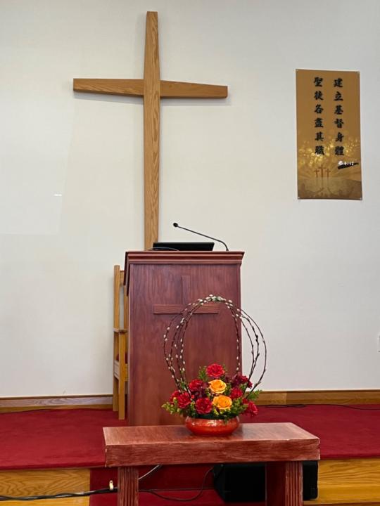 Ann Wu