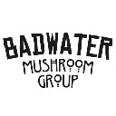 Badwater Mushroom Group