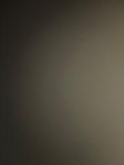 فيصل الشمراني