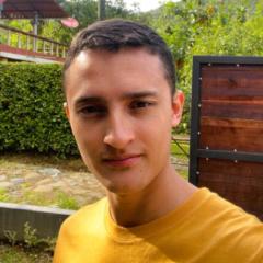 Daniel Steven Arboleda Holguín