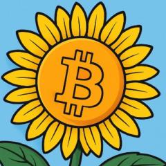 Sunny Artist