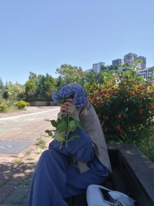 Nour A.h