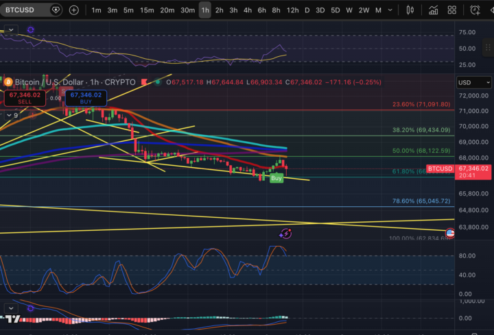 BTC flashing a buy on the 1 hr
