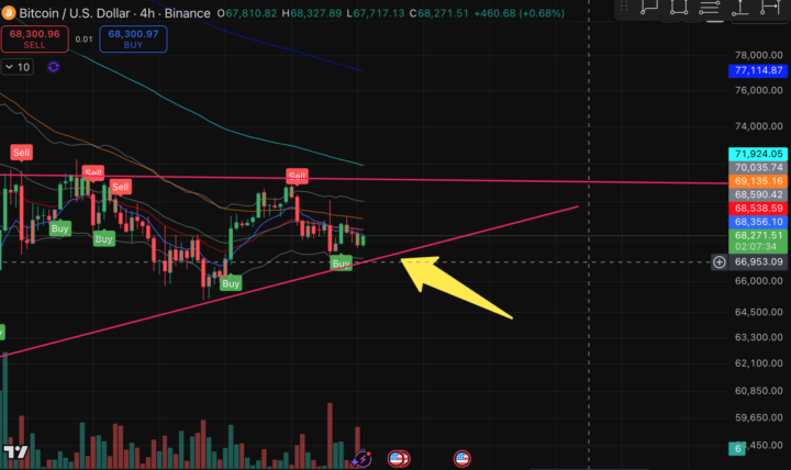 BTC currently at Support