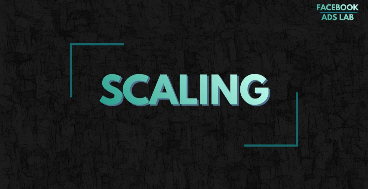 Scaling