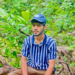 Sumer Madaraliya