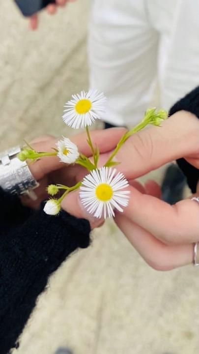 Constanza Clementini