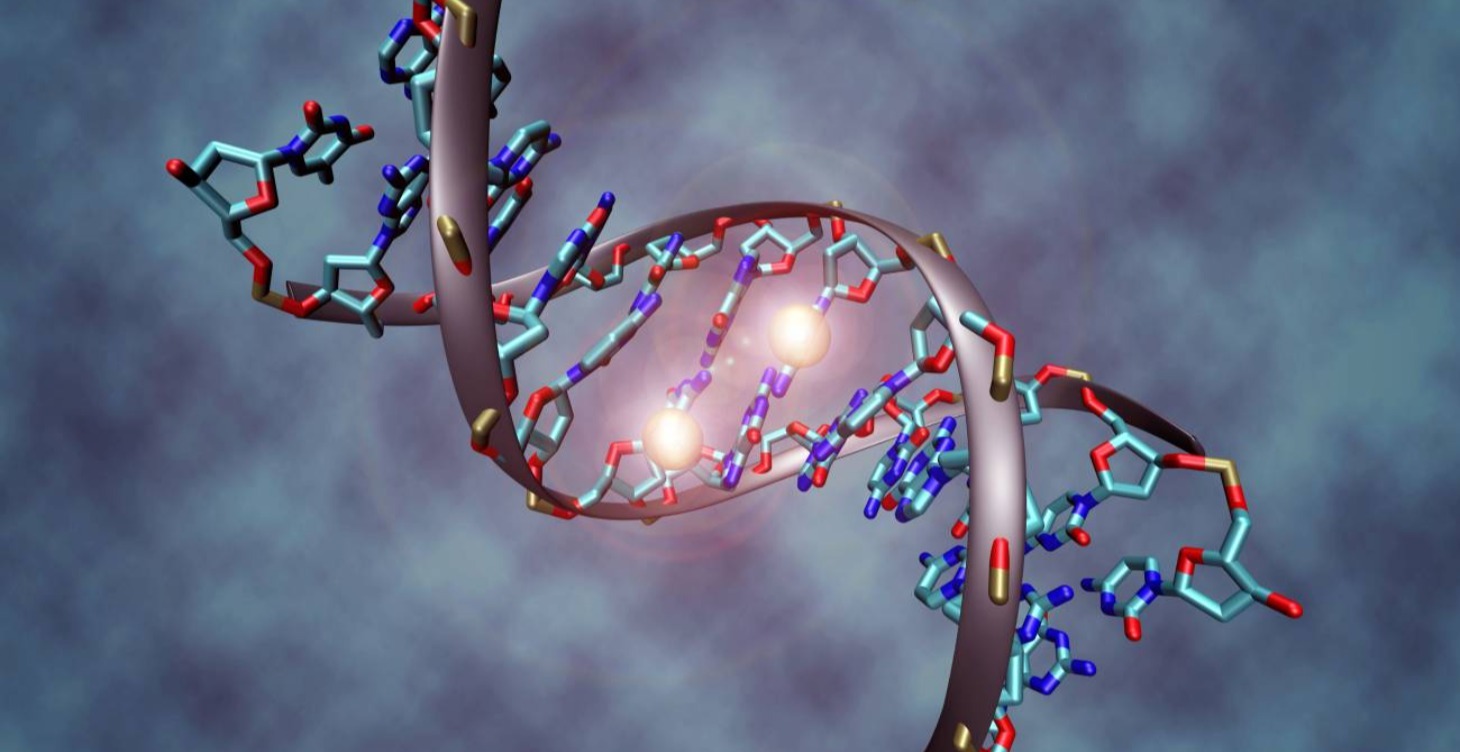 TECNOLOGIA EPIGENETICA